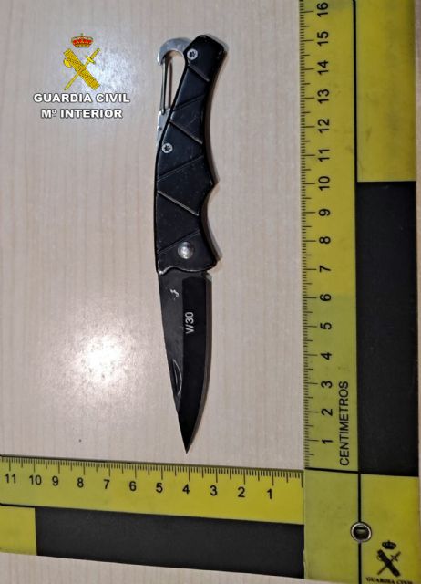 La Guardia Civil esclarece una agresión con arma blanca en Alquerías - 2, Foto 2