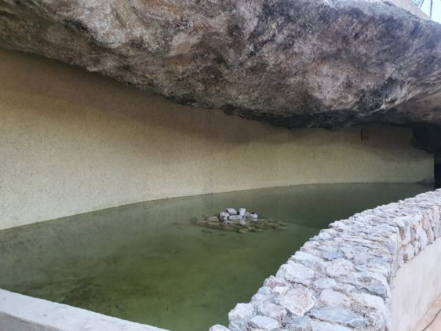 El equipo de Gobierno local culmina las obras de restauración ambiental en el humedal Fuente del Chorrico - 1, Foto 1