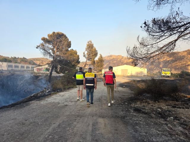 El incendio declarado esta tarde en Lorca queda estabilizado tras afectar a trece hectáreas de terreno - 4, Foto 4