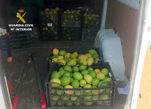 La Guardia Civil esclarece la sustracción de dos toneladas de limón con nueve detenidos - 1, Foto 1