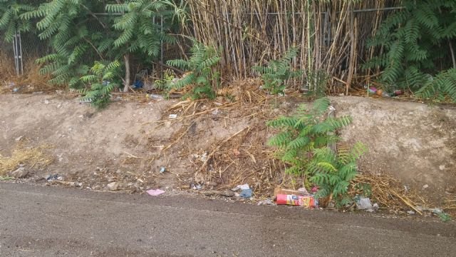 El PSOE denuncia nuevamente la acumulación de basuras en el entorno del Malecón - 1, Foto 1