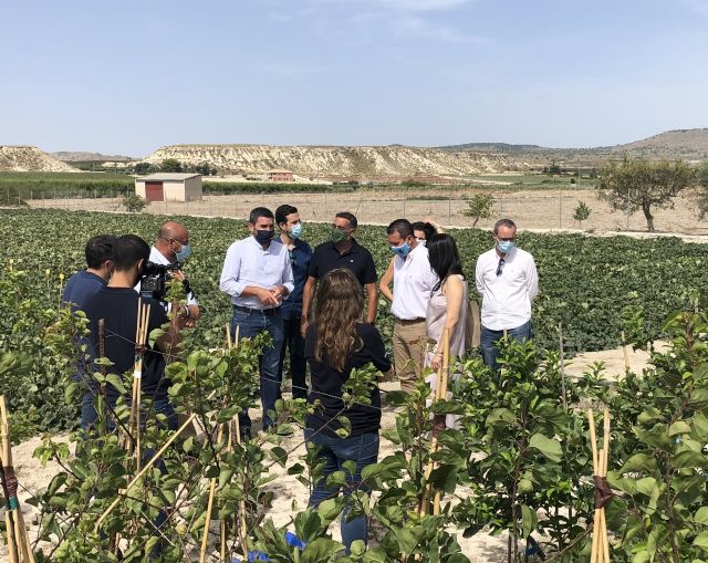 El uso de microorganismos autóctonos podría reducir hasta un 30 por ciento la fertilización nitrogenada en cultivos - 1, Foto 1