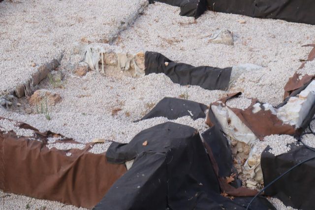 Huermur denuncia en Cultura nuevos derrumbes y proliferación de maleza en el yacimiento de San Esteban - 1, Foto 1