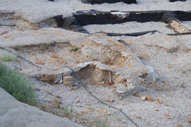 Huermur denuncia en Cultura nuevos derrumbes y proliferación de maleza en el yacimiento de San Esteban - 4, Foto 4