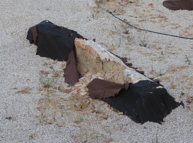 Huermur denuncia en Cultura nuevos derrumbes y proliferación de maleza en el yacimiento de San Esteban - 5, Foto 5