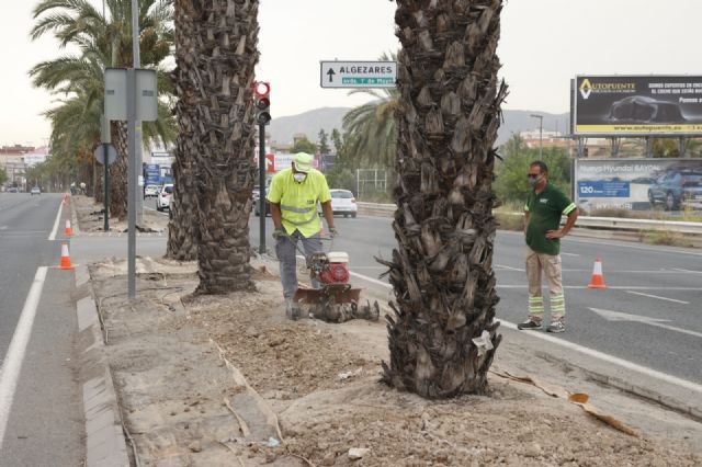 El Ayuntamiento acondiciona la mediana de Ronda Sur entre Patiño y el barrio del Progreso - 2, Foto 2