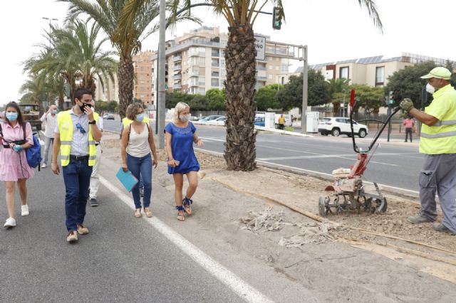 El Ayuntamiento acondiciona la mediana de Ronda Sur entre Patiño y el barrio del Progreso - 4, Foto 4