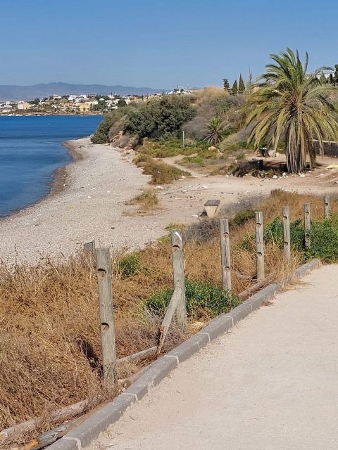 MC denuncia que el PP permite que la playa canina de La Calera sea hoy un estercolero - 2, Foto 2