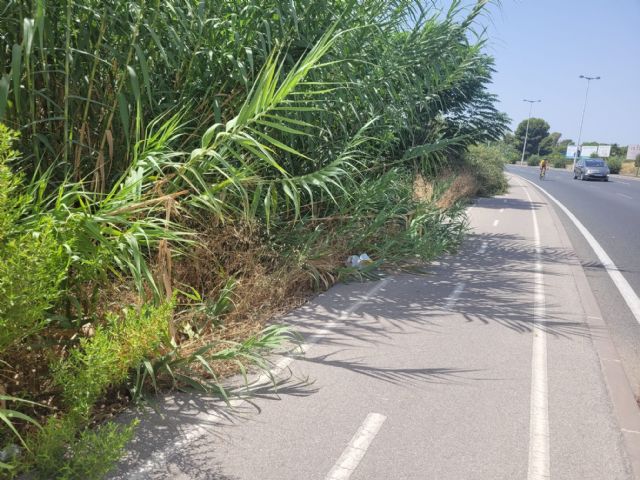 El PP propone que se elimine la maleza que invade los carriles bici ante la inacción del PSOE - 1, Foto 1