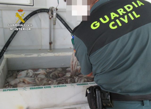 La Guardia Civil se incauta de 20 kilos de pulpo en  Mazarrn, Foto 4