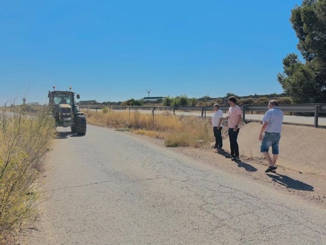 El plan de desbroce puesto en marcha por el Ayuntamiento de Lorca entra en su recta final - 2, Foto 2