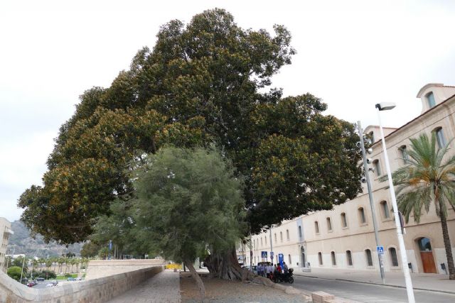 Más de 1.500 alumnos se examinarán de Selectividad en Cartagena a partir del miércoles - 1, Foto 1