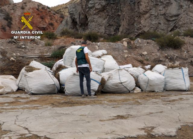 La Guardia Civil esclarece la sustracción de nueve toneladas de romero en Lorca - 1, Foto 1