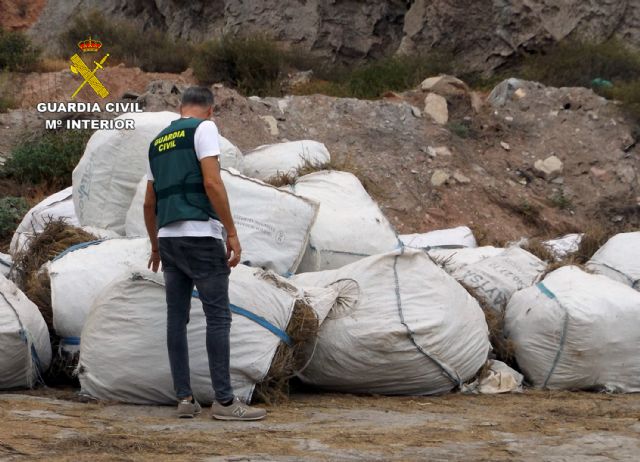 La Guardia Civil esclarece la sustracción de nueve toneladas de romero en Lorca - 2, Foto 2