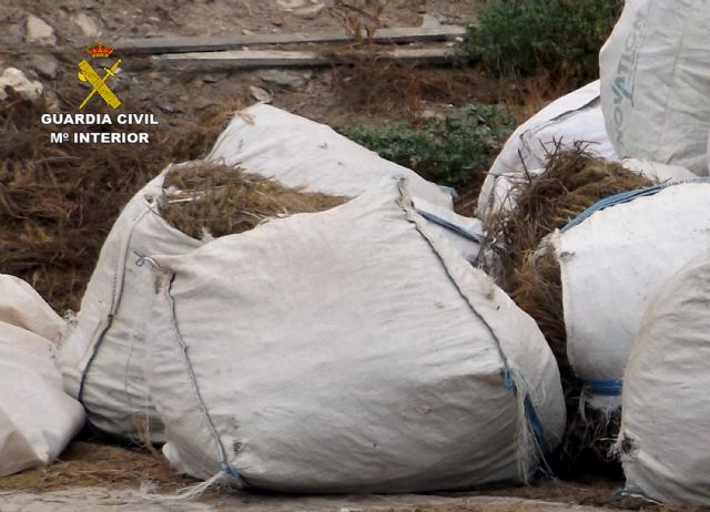 La Guardia Civil esclarece la sustracción de nueve toneladas de romero en Lorca - 3, Foto 3