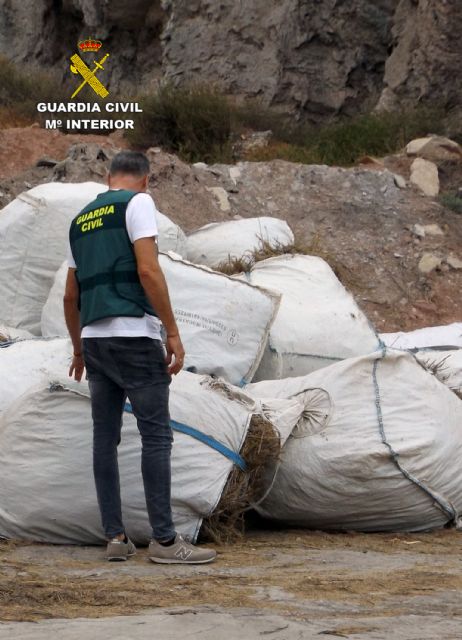 La Guardia Civil esclarece la sustracción de nueve toneladas de romero en Lorca - 4, Foto 4