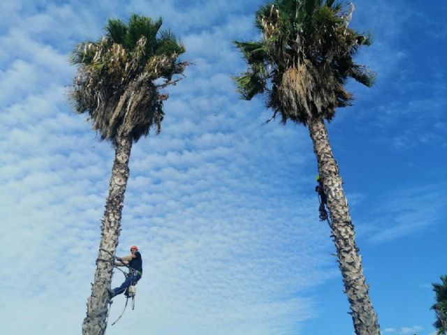 El Ayuntamiento arregla todos los accesos de entrada a Murcia desde la A30 y Ronda Oeste - 3, Foto 3