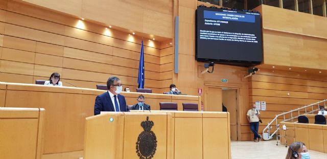 El PPRM insiste en el Senado que el Gobierno de España debe priorizar en inversiones para evitar avenidas por las inundaciones - 1, Foto 1