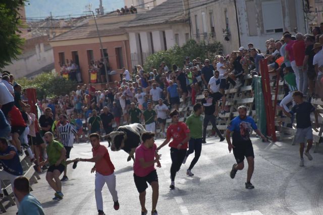 Los impresionantes novillos de Barcial cierran los encierros de Calasparra con un encierro limpio y multitudinario - 1, Foto 1