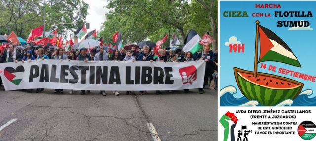 IU-Verdes de Cieza se suma a la manifestación del 14 de septiembre contra el genocidio israelí en Gaza - 1, Foto 1