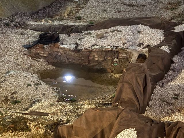 Huermur denuncia la inundación y degradación del yacimiento de San Esteban - 2, Foto 2