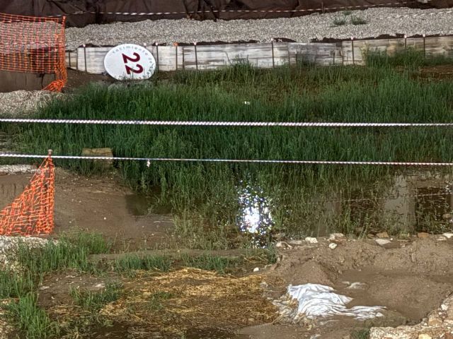 Huermur denuncia la inundación y degradación del yacimiento de San Esteban - 4, Foto 4