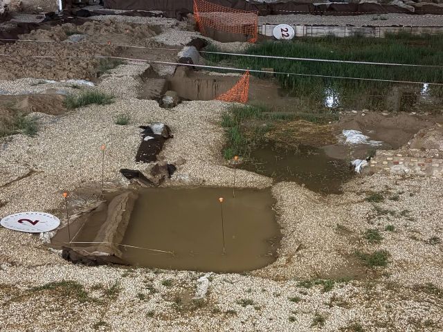 Huermur denuncia la inundación y degradación del yacimiento de San Esteban - 5, Foto 5