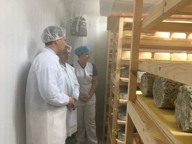La primera quesería del municipio se prepara para comercializar sus quesos ecológicos de oveja - 1, Foto 1