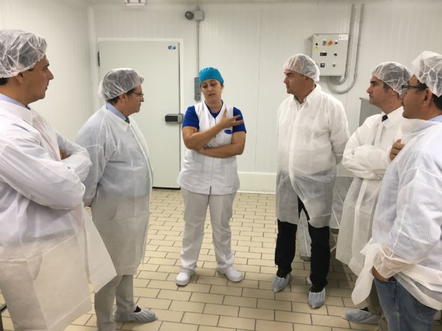 La primera quesería del municipio se prepara para comercializar sus quesos ecológicos de oveja - 2, Foto 2