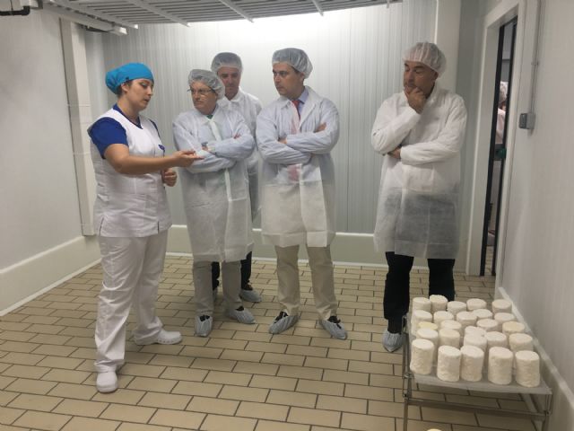 La primera quesería del municipio se prepara para comercializar sus quesos ecológicos de oveja - 3, Foto 3