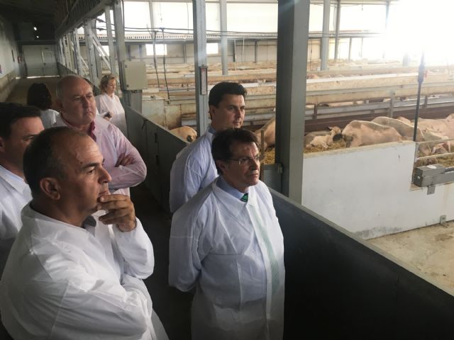 La primera quesería del municipio se prepara para comercializar sus quesos ecológicos de oveja - 4, Foto 4