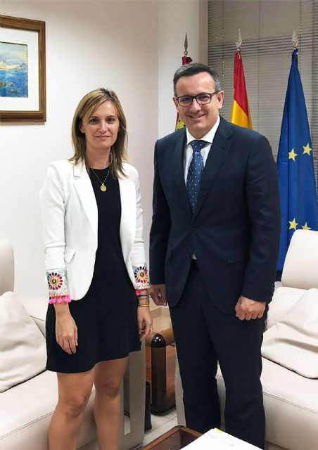 El Ayuntamiento y la delegación de Gobierno trabajan para la instalación de nuevas cámaras de seguridad en el barrio del Carmen - 1, Foto 1