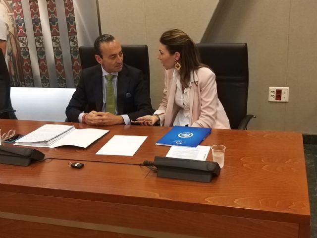 La Asamblea aprueba una iniciativa del PP para que a 44.000 lorquinos afectados por los seísmos se les reduzca el recibo del IBI - 1, Foto 1