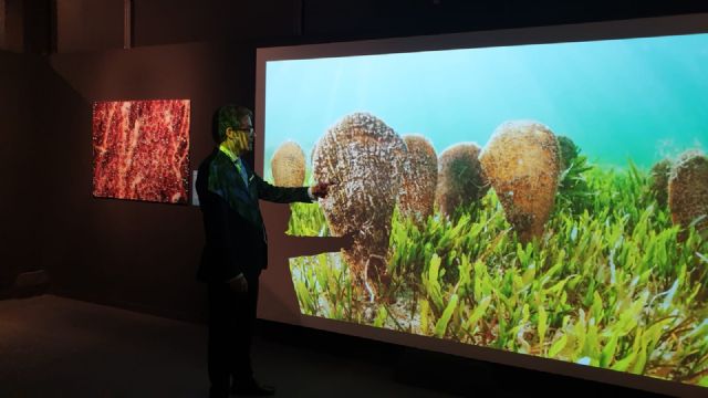 Continua la exposición fotográfica ´Una mirada al Mar Menor´ en el Museo de la Ciencia y el Agua de Murcia - 2, Foto 2