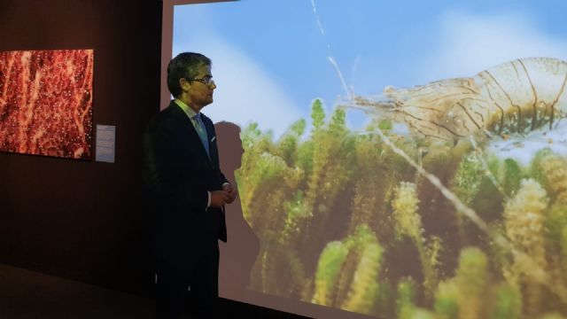 Continua la exposición fotográfica ´Una mirada al Mar Menor´ en el Museo de la Ciencia y el Agua de Murcia - 3, Foto 3