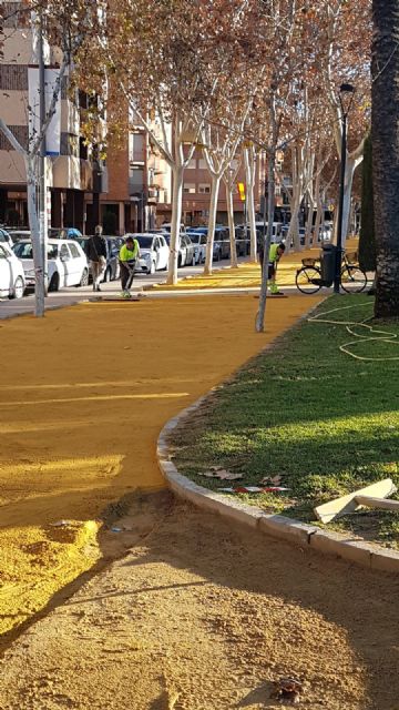 Desarrollo Urbano repone el albero de los jardines y senderos tras el temporal - 2, Foto 2