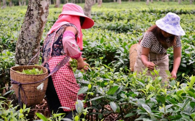 Día Internacional de las Mujeres Rurales - 1, Foto 1