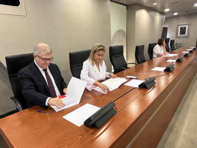 Los senadores autonómicos serán designados por el Pleno de la Asamblea Regional la próxima semana - 4, Foto 4