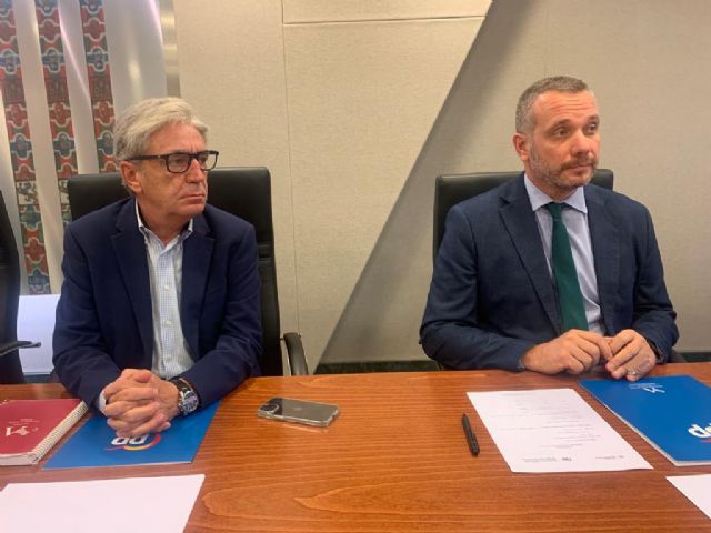 Segado: Si Sánchez considera que una ley de amnistía es necesaria, que dé la oportunidad en las urnas a los españoles para que nos pronunciemos - 1, Foto 1