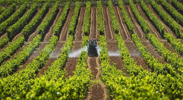 Más de 4.800 agricultores de la Región de Murcia han recibido ya un total de 5,3 millones de euros de las ayudas por el encarecimiento de los fertilizantes - 1, Foto 1