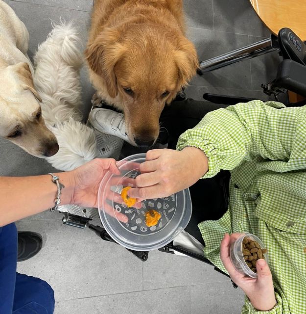Cómo los perros de terapia están transformando la salud mental en los hospitales españoles - 2, Foto 2