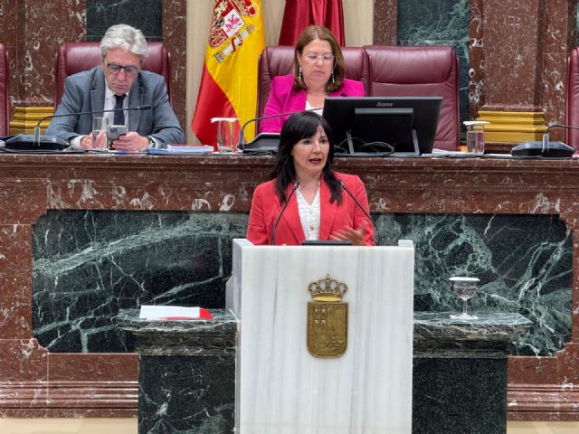 El PSOE denuncia el incumplimiento de la Estrategia de Salud Mental por parte del Gobierno regional - 1, Foto 1