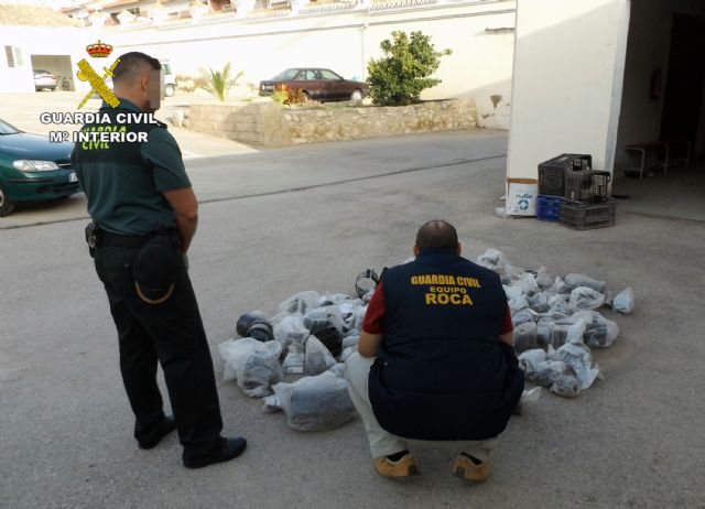 La Guardia Civil recupera en una nave industrial 11.000 metros de manguera, medio millar de cajas de plástico y ocho contenedores de basura - 3, Foto 3
