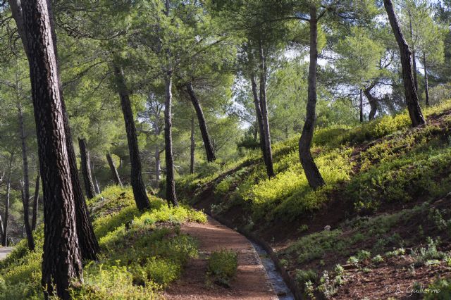 El Territorio Sierra Espuña celebra la renovacin de la Carta Europea de Turismo Sostenible, Foto 1