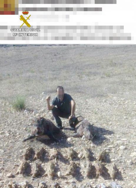 La Guardia Civil denuncia a cinco personas por la caza ilegal de hembras y crías de jabalí - 1, Foto 1