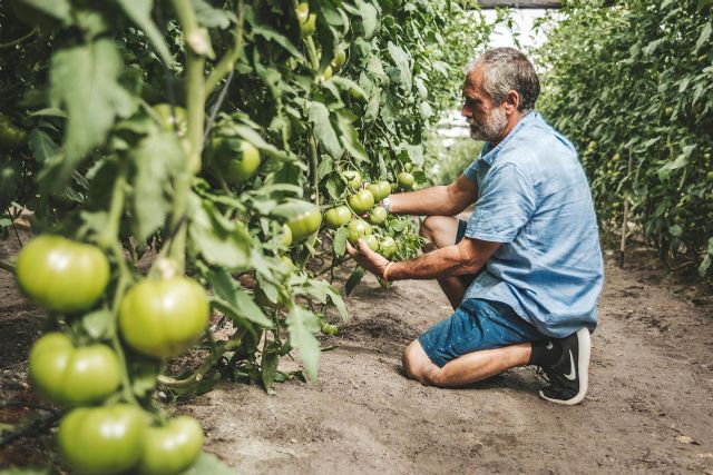 Un aumento de la producción de hasta un 40%, primeros resultados del estudio de Projar sobre el fertirriego - 3, Foto 3