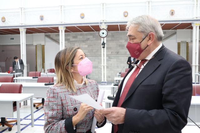 El grupo parlamentario liberal urge al Gobierno de España a eliminar los peajes en la AP-7 - 1, Foto 1