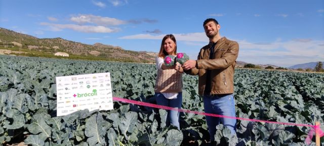 +Brócoli implica a 25 cadenas de supermercados para impulsar el consumo de esta verdura - 1, Foto 1