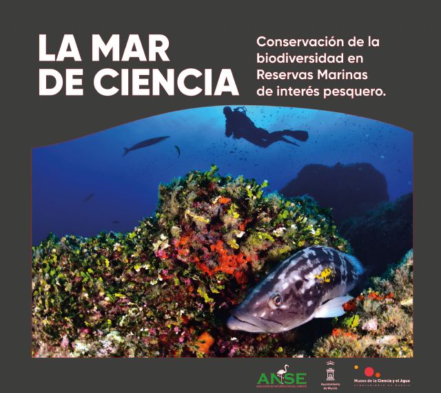 Las reservas marinas de nuestro litoral, protagonistas de la nueva exposición del Museo de la Ciencia y del Agua - 1, Foto 1