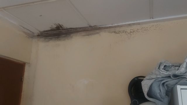 El Partido Popular propone que el Ayuntamiento emprenda una batería de mejoras en la Casa de Acogida de la Comunidad Terapéutica El Buen Camino - 3, Foto 3